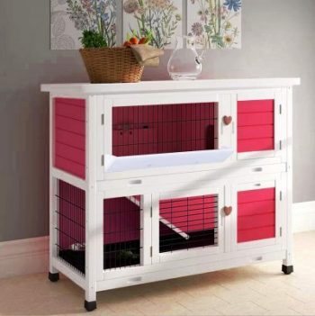 Guinea Pig Cage For Two